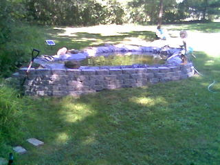 pond wall